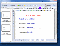 small screenshot of A-PDF Filler